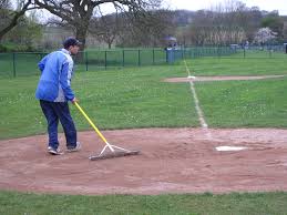 Image result for Herts Falcons