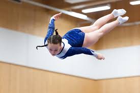 Image result for Fenland Flyers