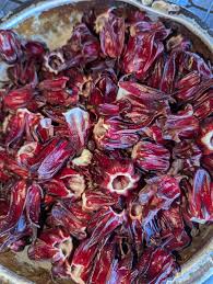 Attēlu rezultāti vaicājumam “Rumex acetosa fruit”