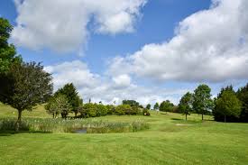 Image result for Flint Golf Club