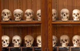 Image result for head king