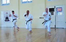 Image result for Devonport Shotokan Karate Club