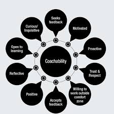 Image result for Coachability