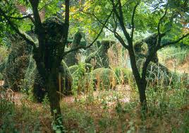 Image result for Priona Tuinen