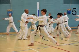 Image result for TIVERTON SHOTOKAN KARATE CLUB