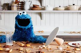 Image result for cookie monster