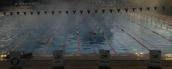 Image result for Box Hill Swim Team