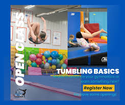 Image result for Fish trampoline and gymnastics club