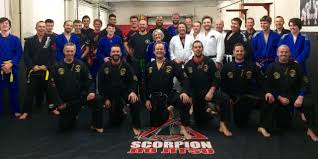Image result for Scorpion Martial Arts Academy