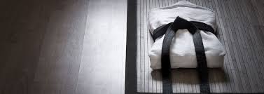 Image result for David Fuller Karate