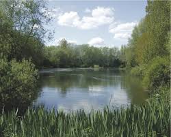 Image result for Becmain Angling Society