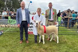 Image result for Teamsheep