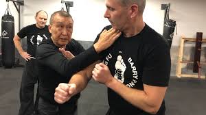 Image result for Combined self defence arts