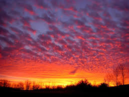 Image result for sunset