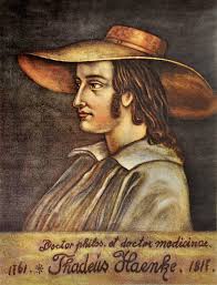 Image result for Thaddus Haenke