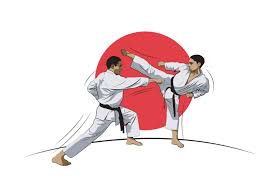 Image result for Shotokan Karate