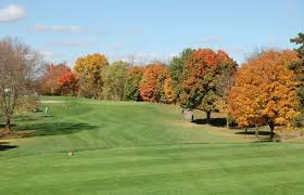 Image result for Erskine Bowling Club