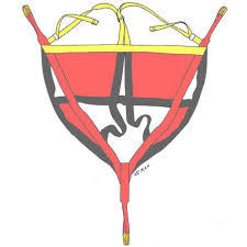 Bildergebnis für Rettungsdreieck