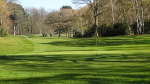 Image result for Central London Golf Club