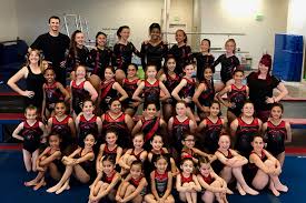 Image result for Acrobrats