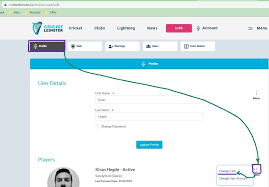 Image result for Sandyford Cricket Club