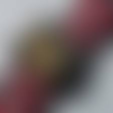 Image result for Southend Judo Club