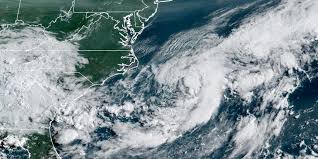 Image result for Halstead Cyclones