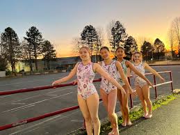 Image result for Holbeach and Fenland Gymnastics Club