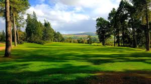 Image result for Auchterarder Bowling Club