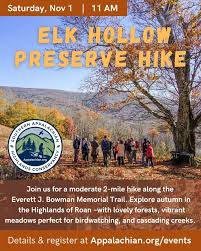 Image result for Green Hollow Bowmen