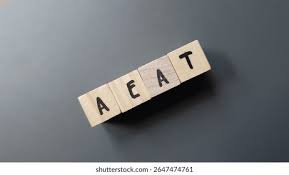 Image result for www.aeat.es