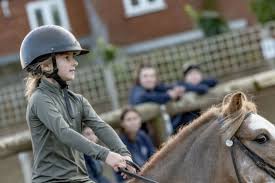 Image result for Porlock Vale Riding School
