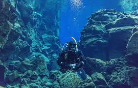 Image result for Maidstone Sub Aqua Club