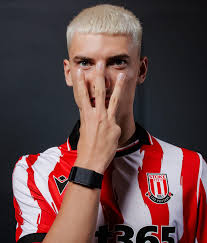 Image result for Stoke Potters