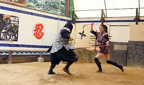 Image result for Hertfordshire Iga Ryu Ninjutsu