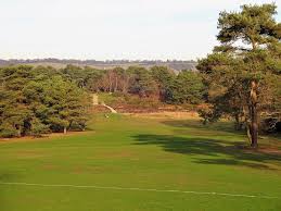 Image result for Reigate Heath Golf Club