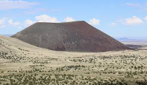 Attēlu rezultāti vaicājumam “Craterium sp.”