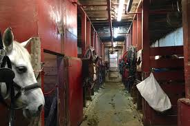 Image result for Old Park Riding Stables
