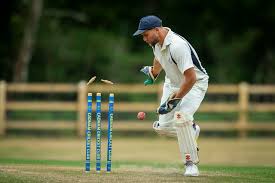 Image result for Cadnam Cricket Club