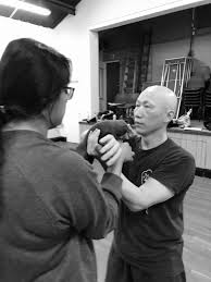 Image result for Midlands Wing Chun