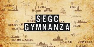 Image result for South Essex Gymnastics Club