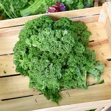 Image result for Grünkohl