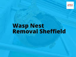 Image result for Killamarsh Mayhem