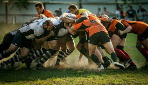 Image result for Bingham Rugby Union Football Club