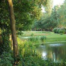 Image result for Peover Golf Club
