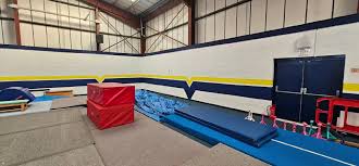 Image result for Avondale Gymnastics Club