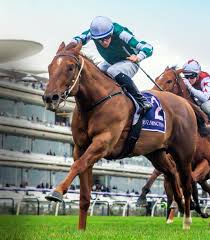 Image result for Bletchingly Badminton Club