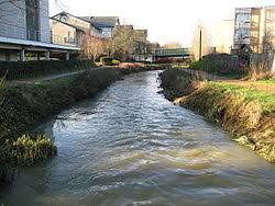 Image result for Oxford Science Park Netball Team