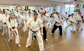 Image result for Hidden Dragon Karate-Do