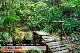 Image result for синхараджа